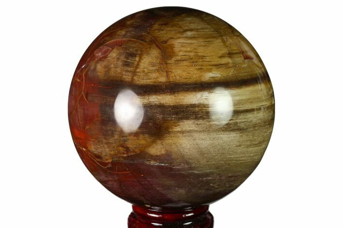 Colorful Petrified Wood Sphere - Madagascar #163363